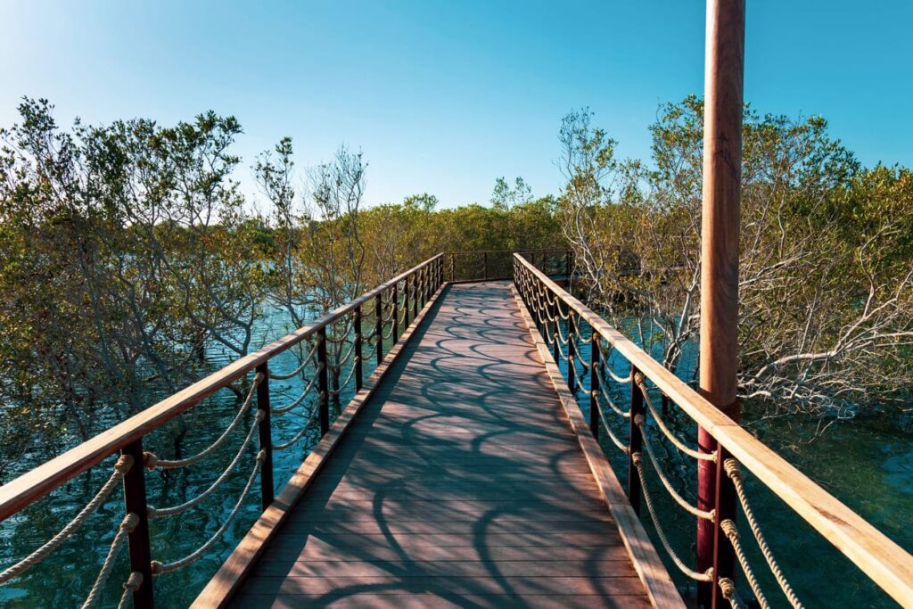 Parc de mangrove de Jubail