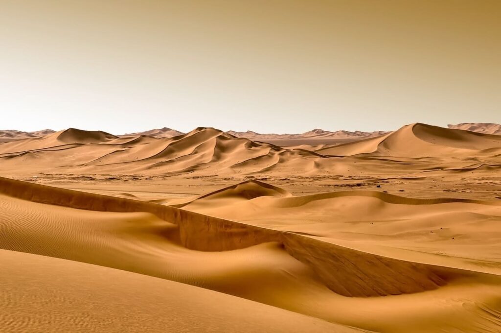 пустыня абу-даби(1)