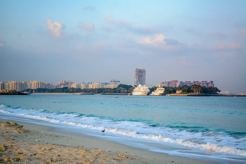 Что делать в середине Beach | Майами & Miami Beach